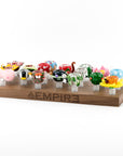 Empire Wooden Bowl Piece Display