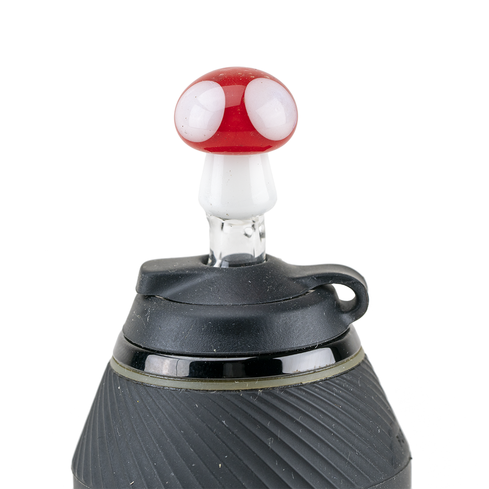 Proxy Ball Cap - Mushroom