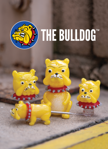 A collection of different glass pieces made by Empire Glassworks for the Brand, "The Bulldog" out of Amsterdam